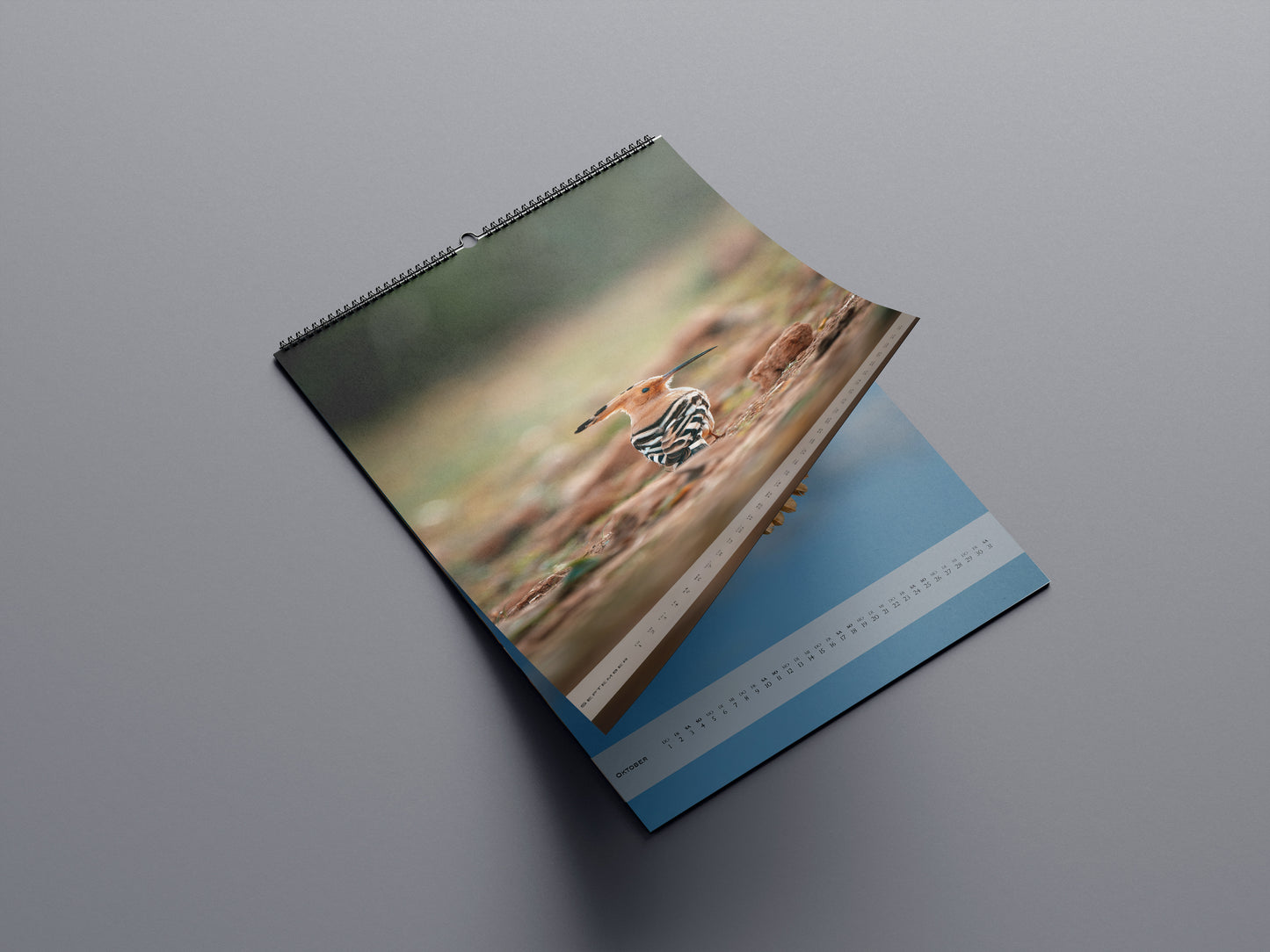 Gefiederte Momente